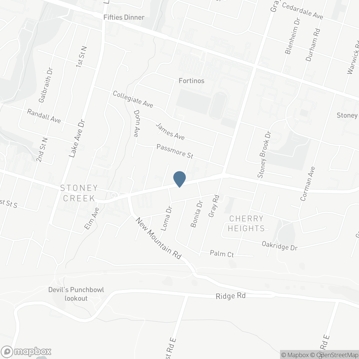 121 KING STREET E, Hamilton, Ontario L8G 1L2